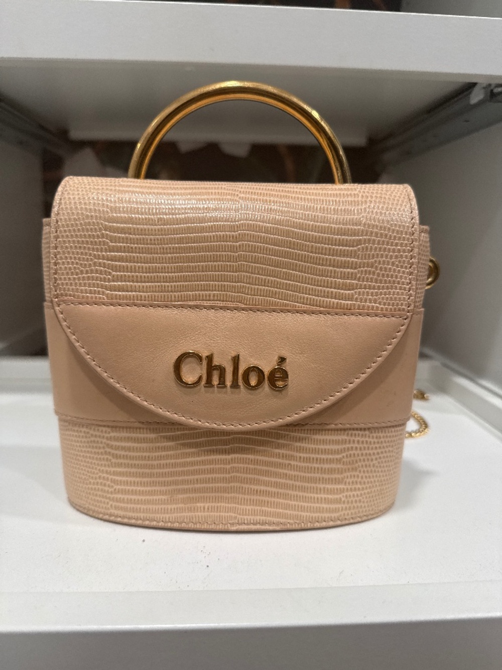 Chloe Crocodile Embossed Purse